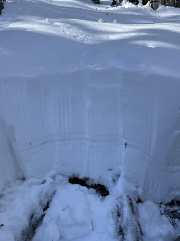 Observation photo 1