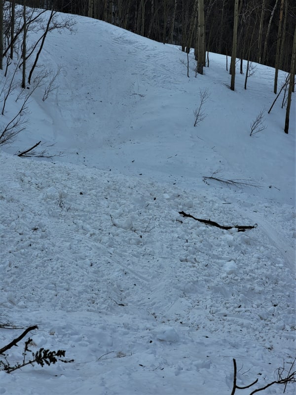 Observation photo 4