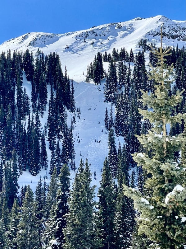 Observation photo 1