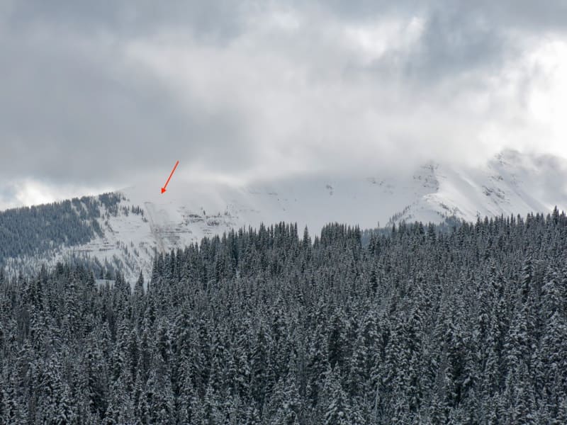Observation photo 2