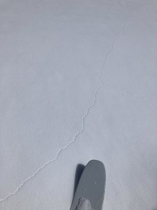 Observation photo 2