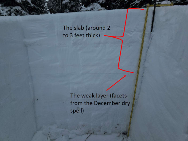 Observation photo 1