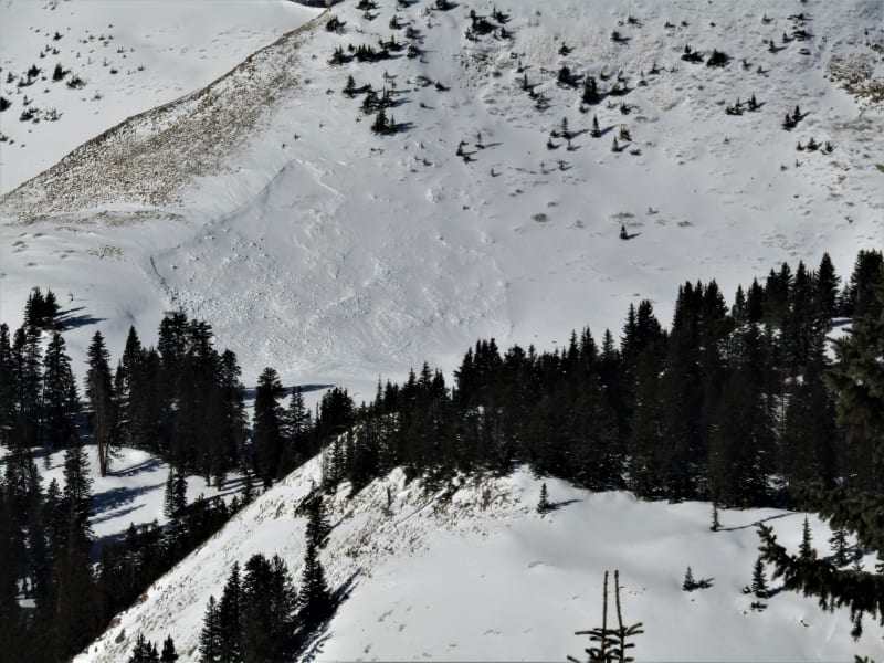 Observation photo 3