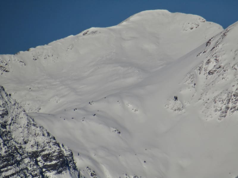 Observation photo 3