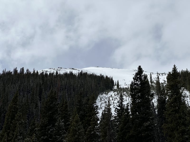 Observation photo 1