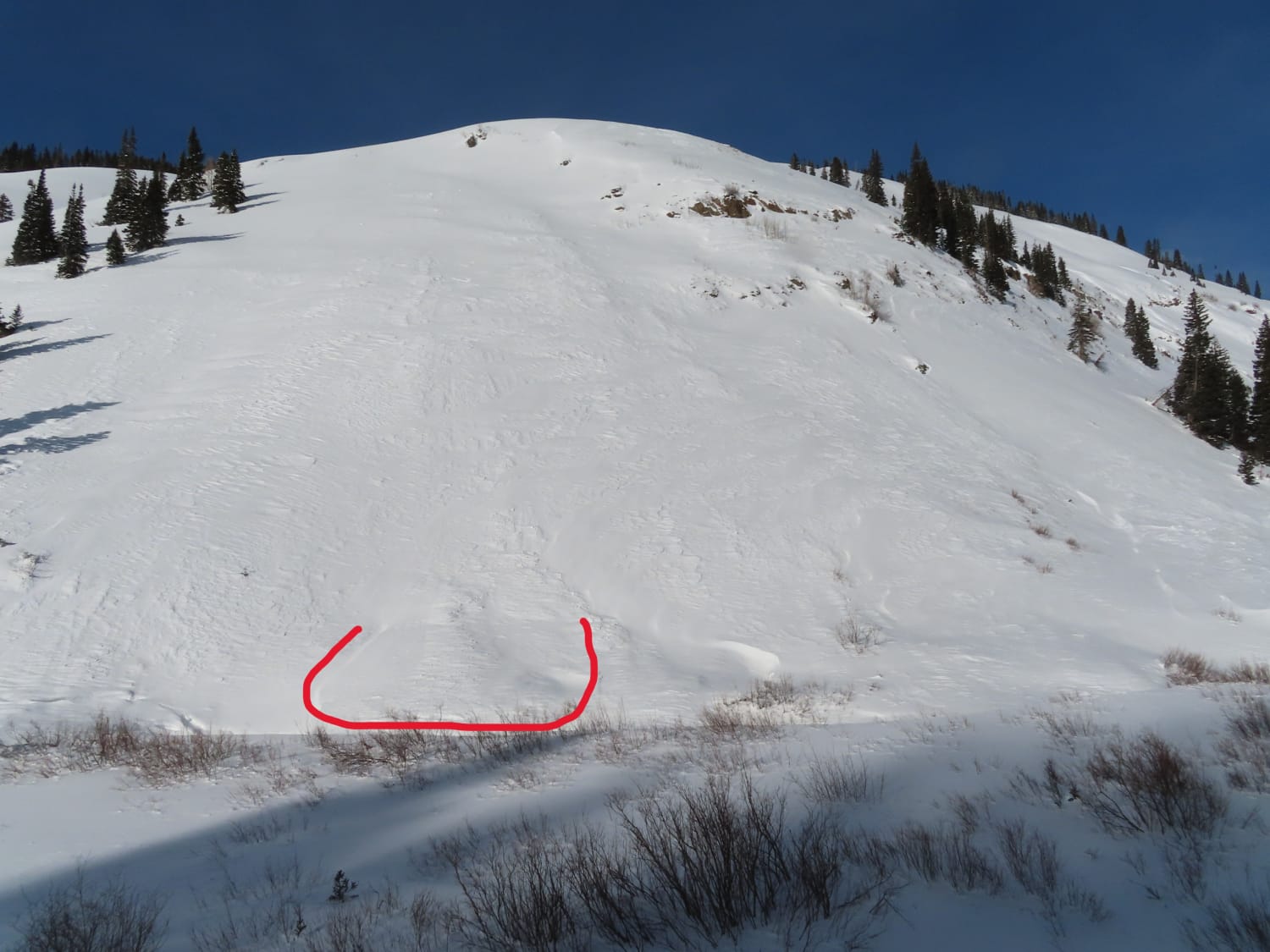 Observation photo