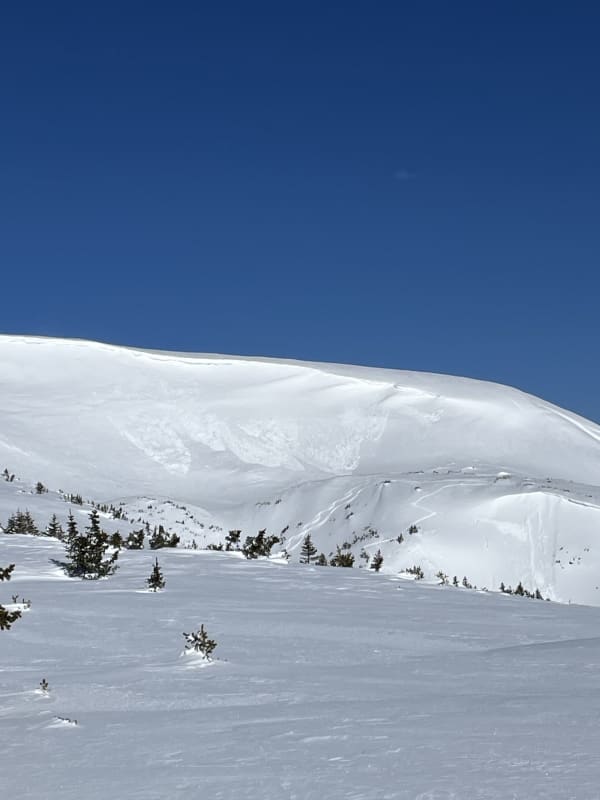Observation photo 1