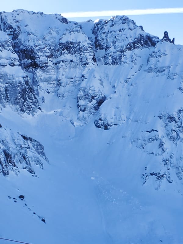 Observation photo 1