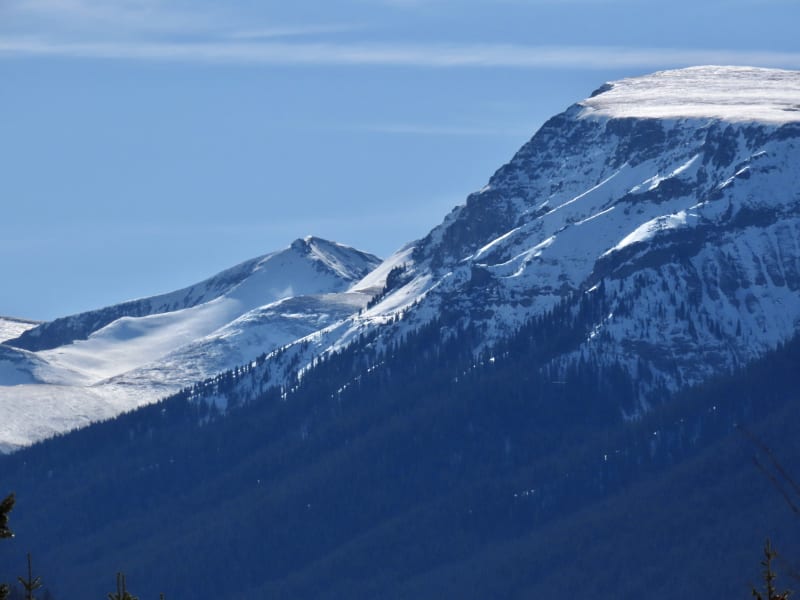 Observation photo 3