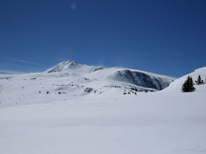 Observation photo 9