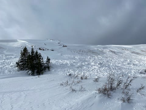 Observation photo 5