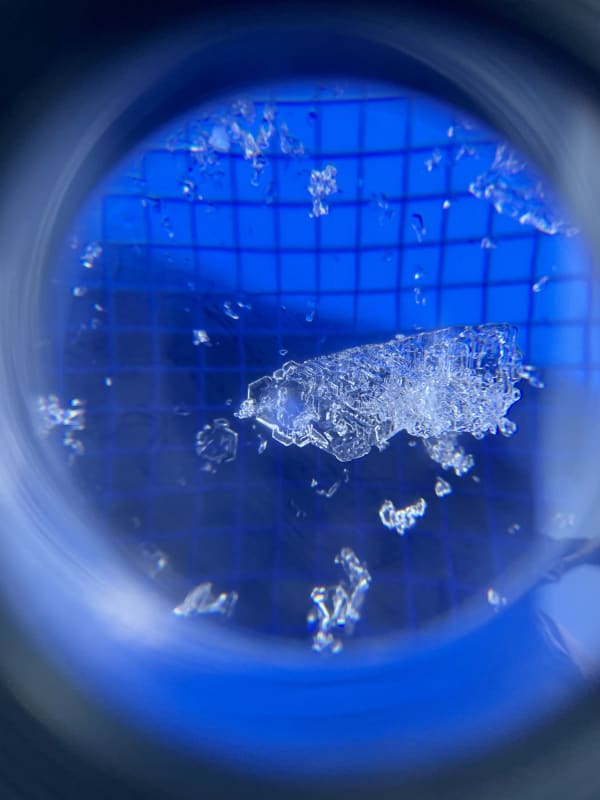 Observation photo 1