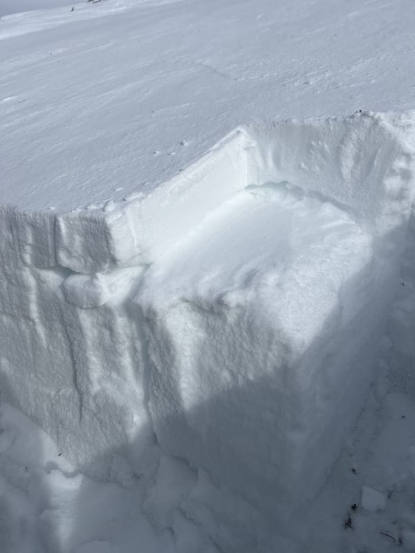 Observation photo 2
