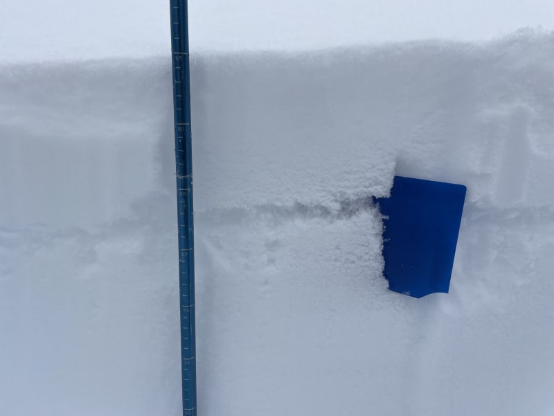Observation photo 3