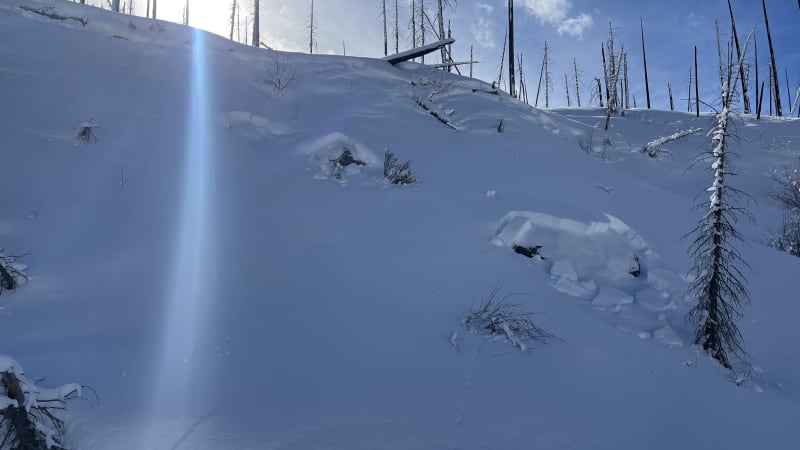 Observation photo 4