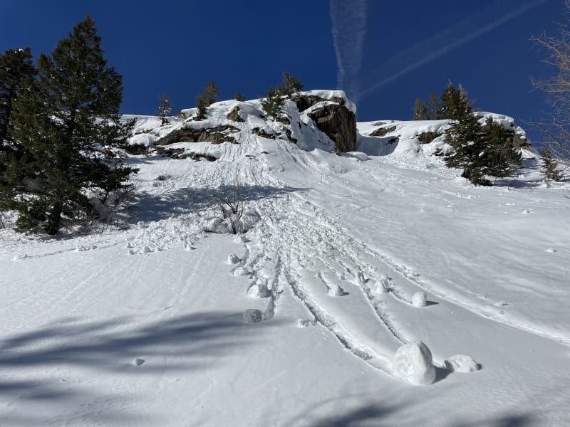 Observation photo 3