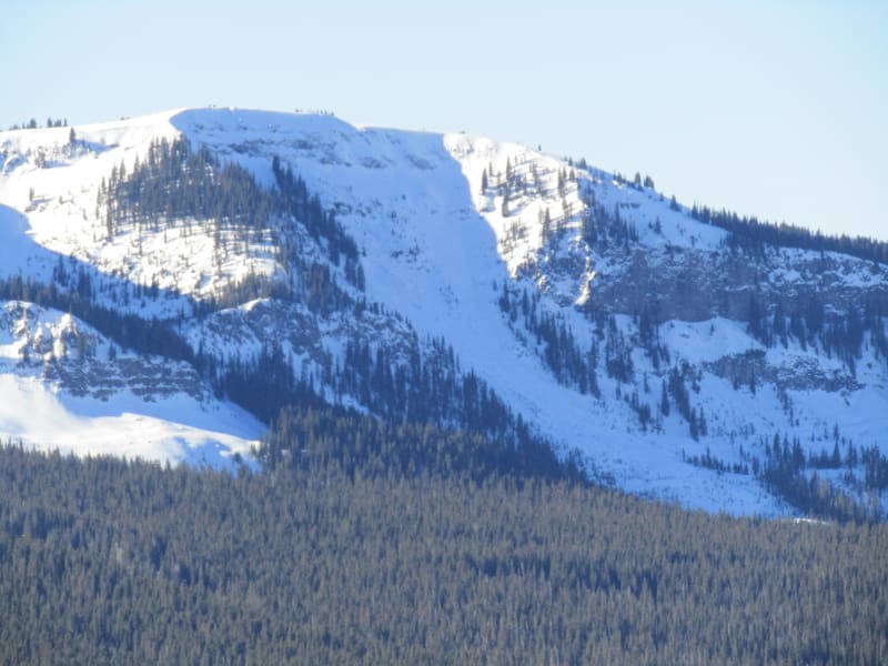 Observation photo 3