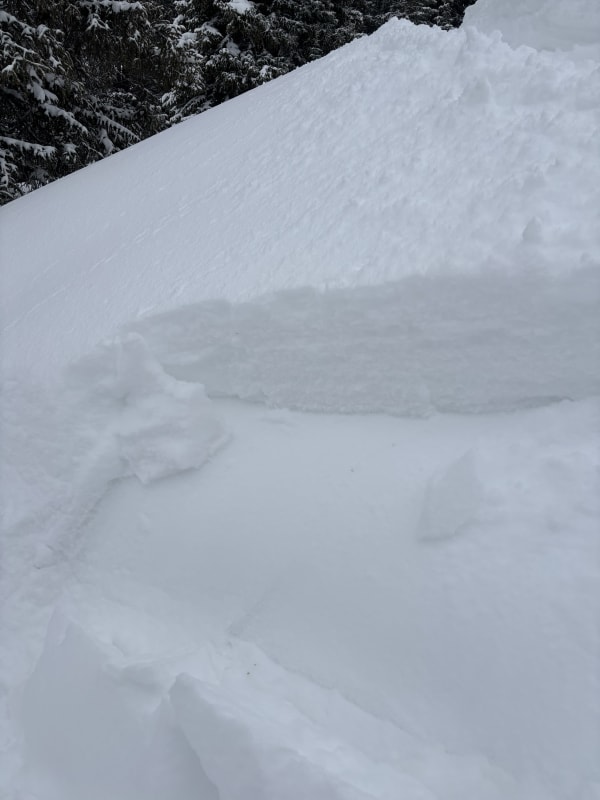 Observation photo 6