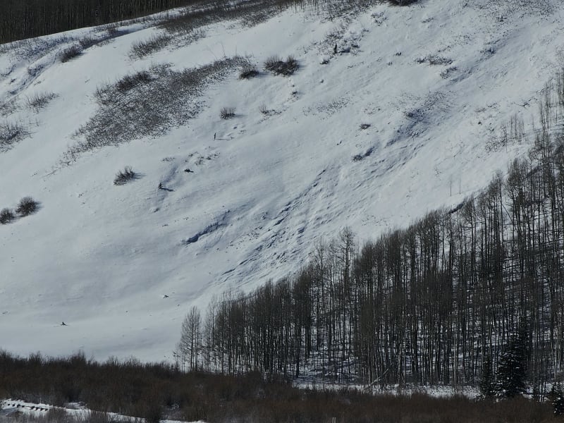 Observation photo 6
