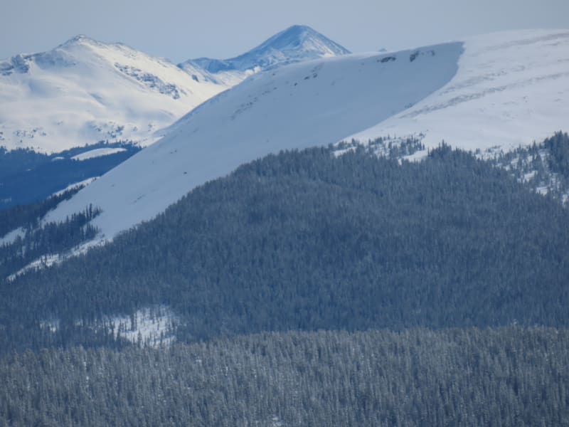 Observation photo 6
