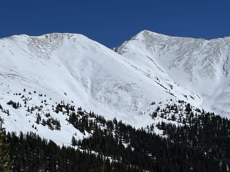 Observation photo 4