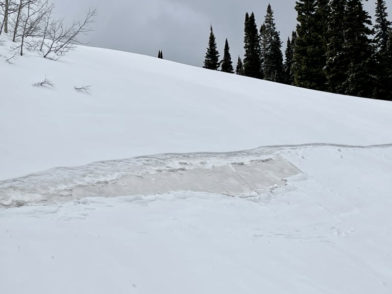 Observation photo 4