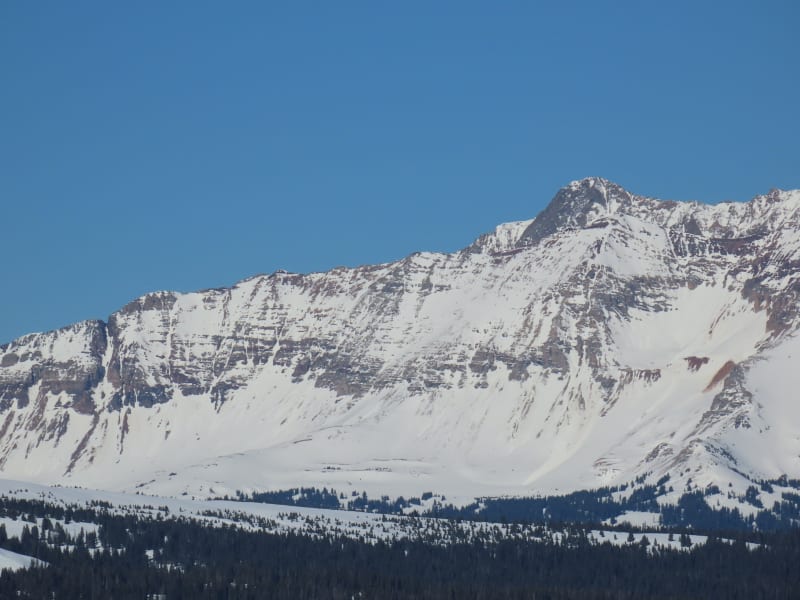 Observation photo 1