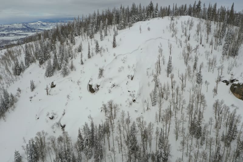 Observation photo 2