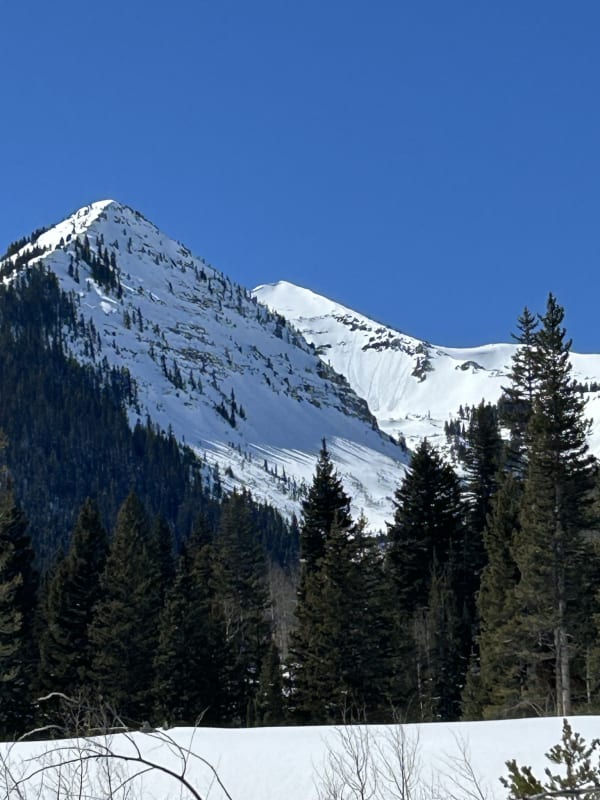 Observation photo 5