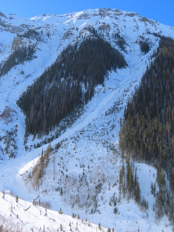 Observation photo 1