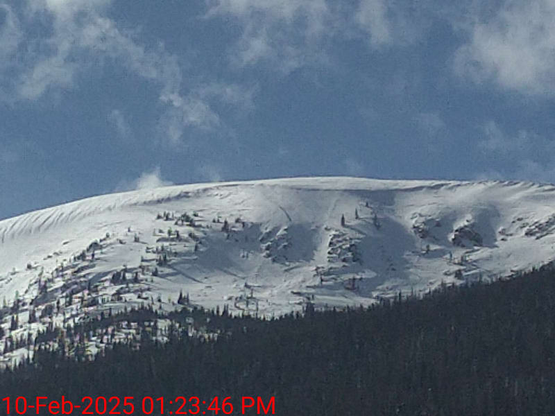 Observation photo 5