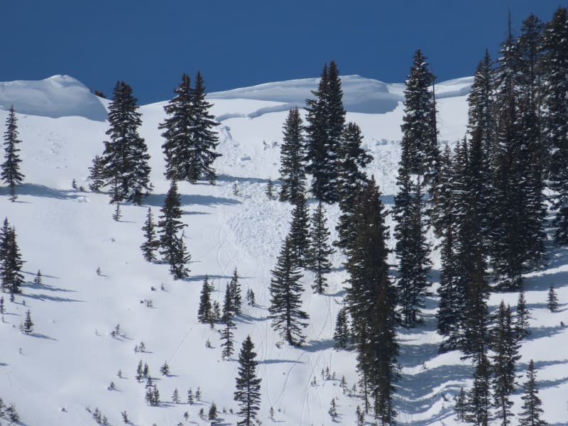 Observation photo 9