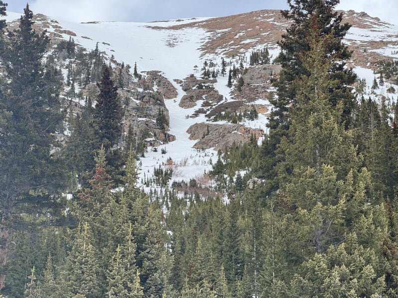 Observation photo 3