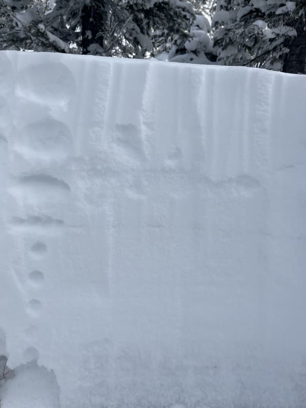 Observation photo 1