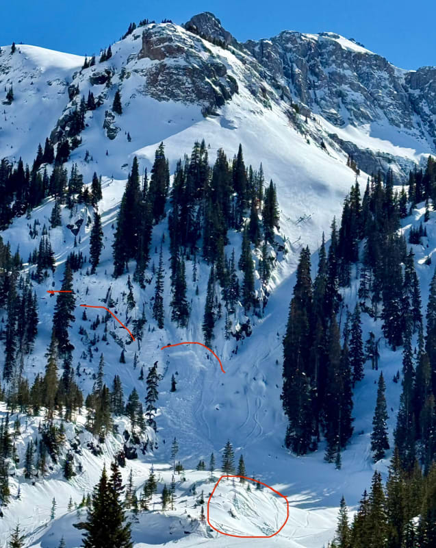 Observation photo 1