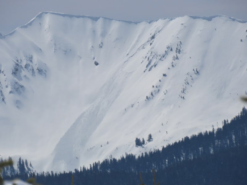 Observation photo 2