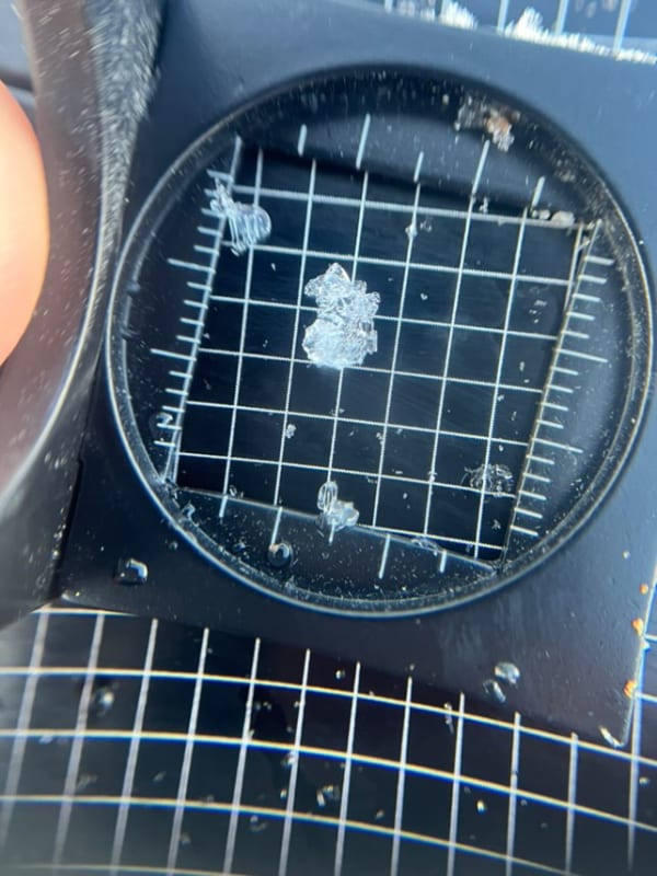 Observation photo 4