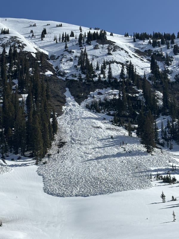 Observation photo 2