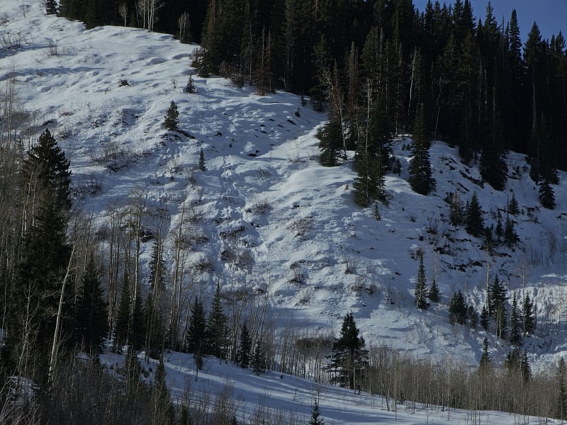 Observation photo 7