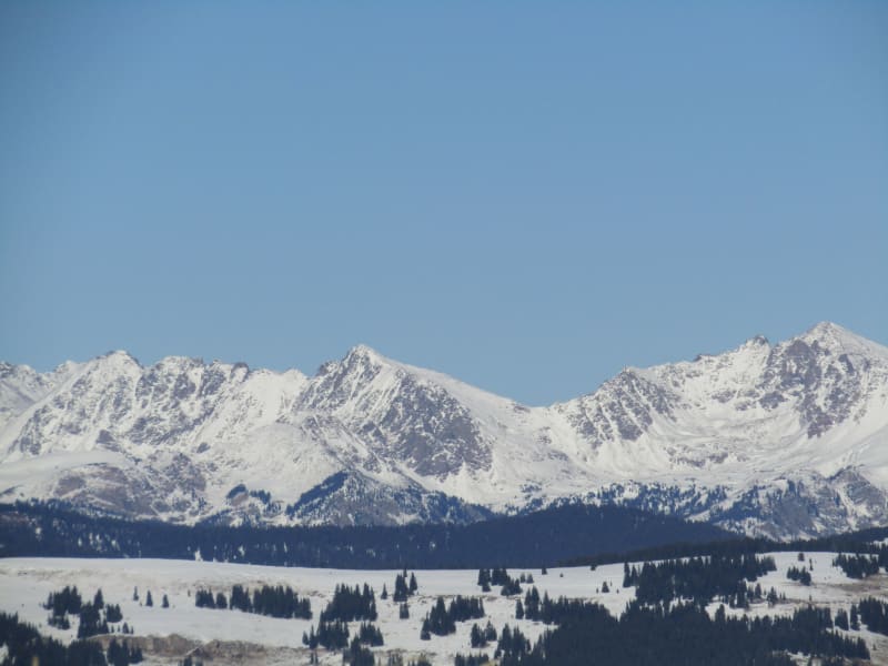 Observation photo 3