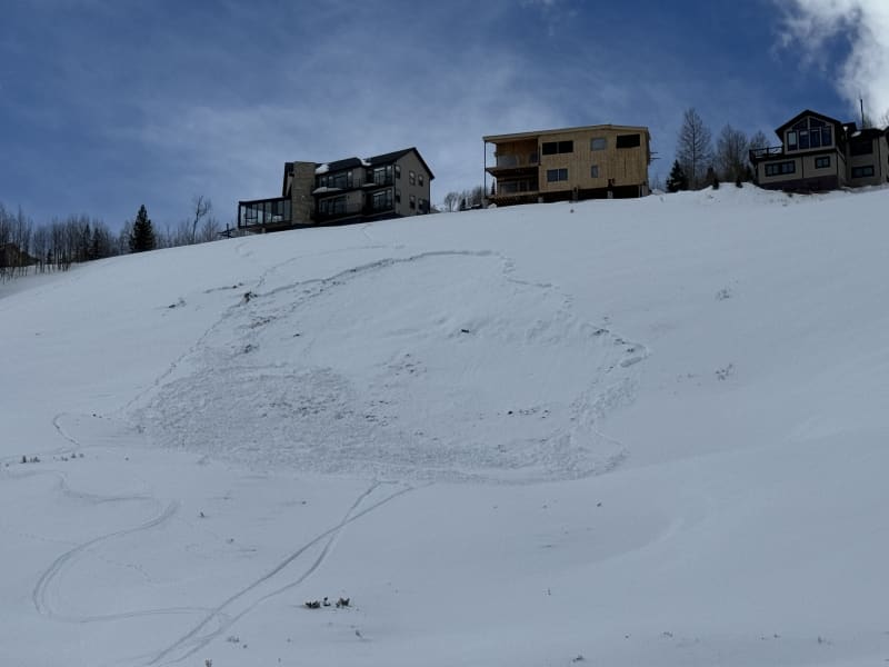 Observation photo 6