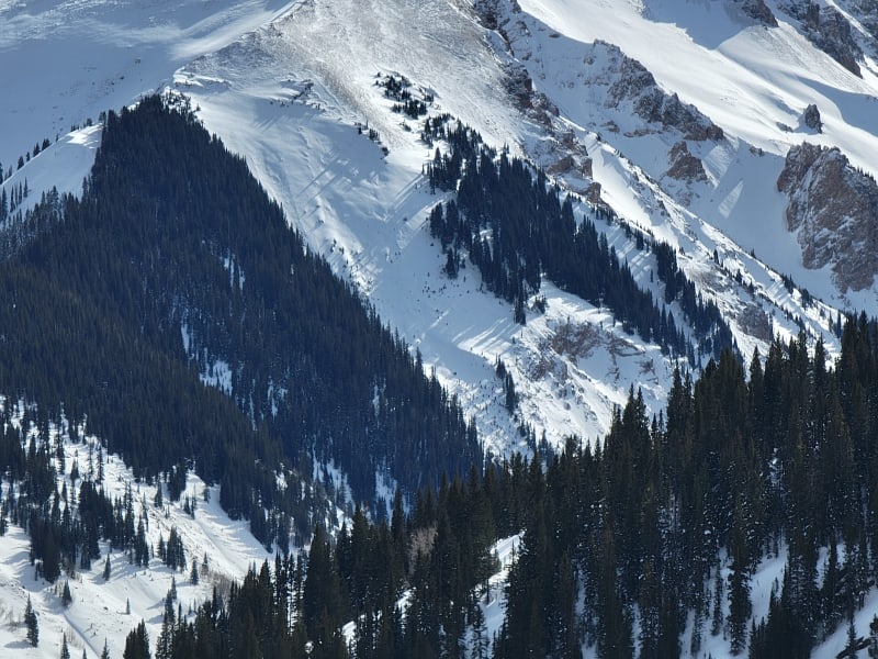 Observation photo 9