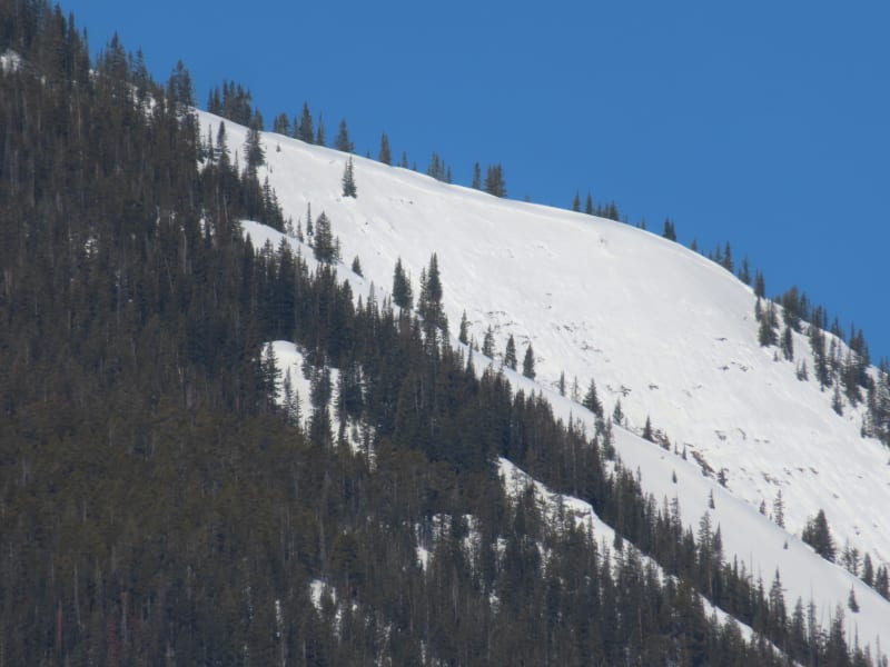 Observation photo 3