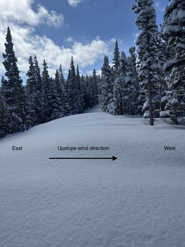 Observation photo 1