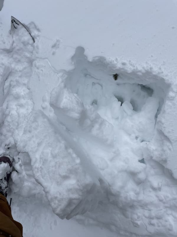 Observation photo 2
