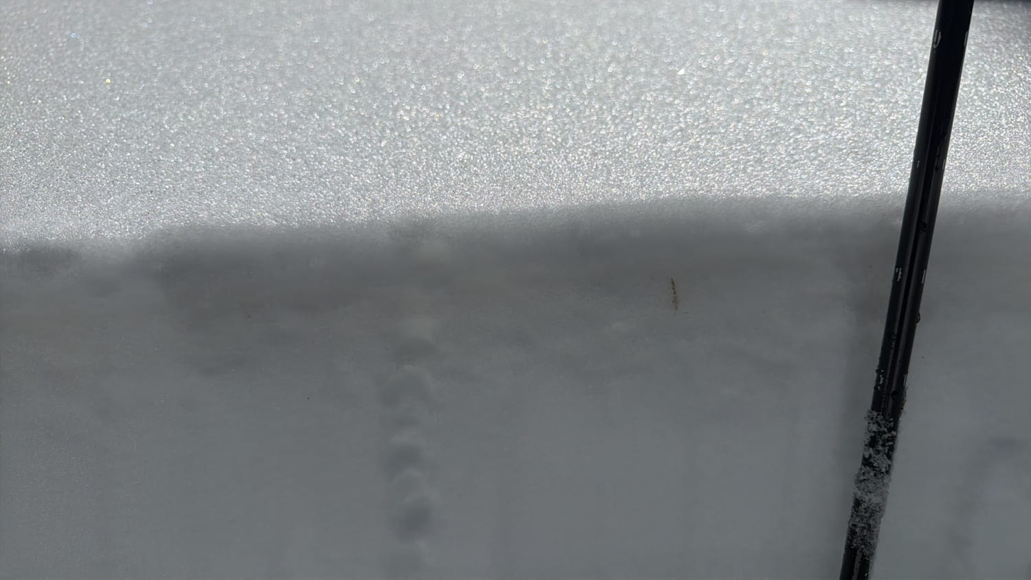 Observation photo