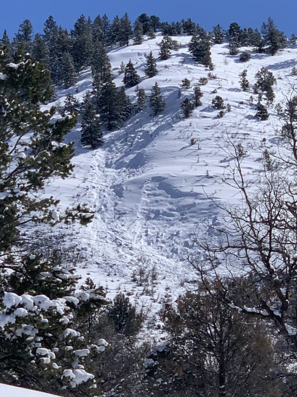 Observation photo 1