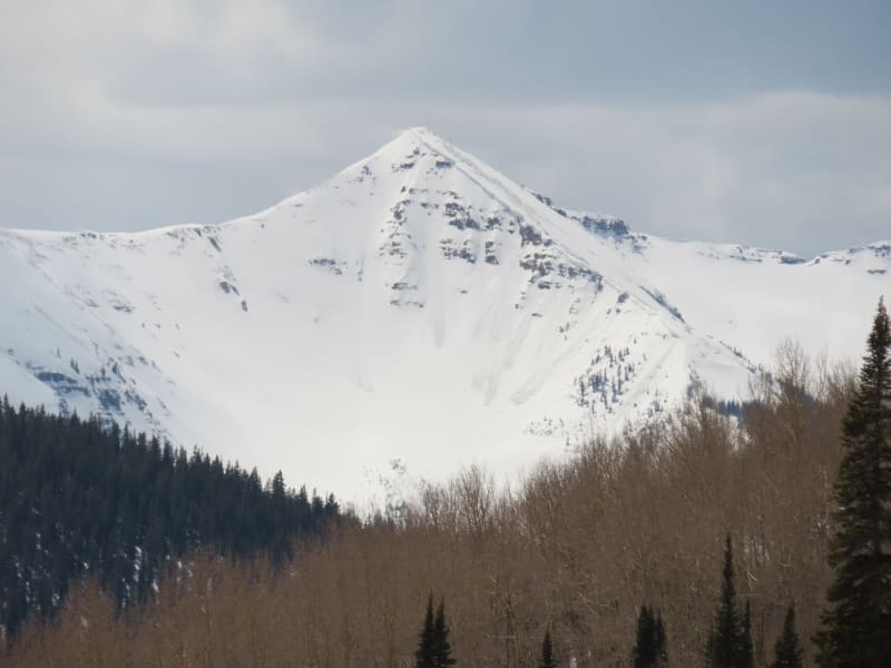 Observation photo 8
