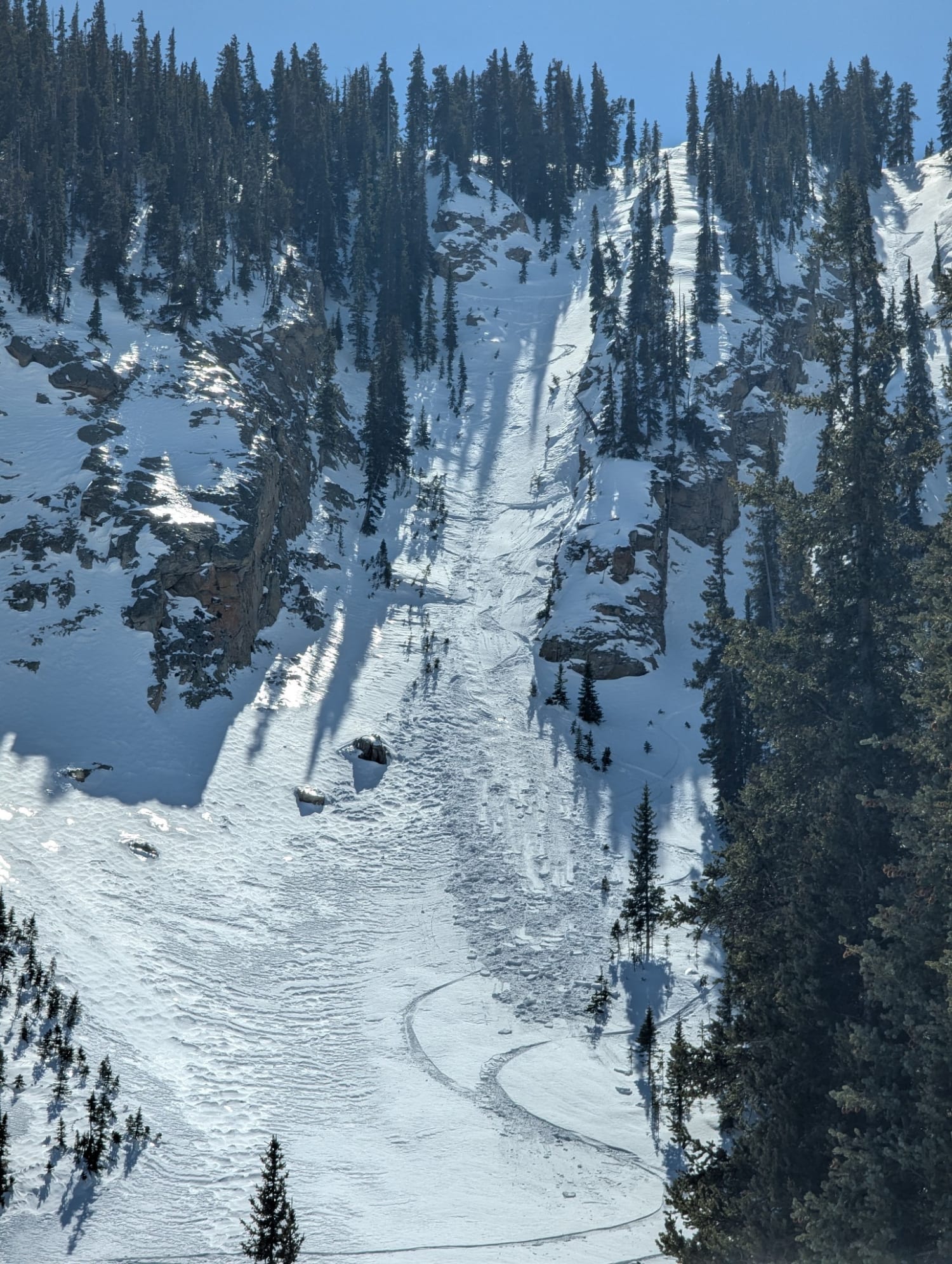 Observation photo