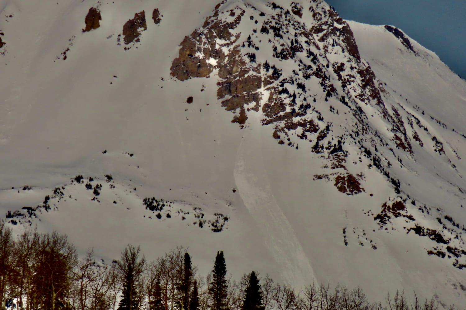 Observation photo
